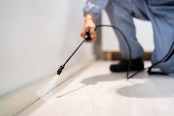 Licensed Termite Control service in Holton, KS - Nex Pest Control