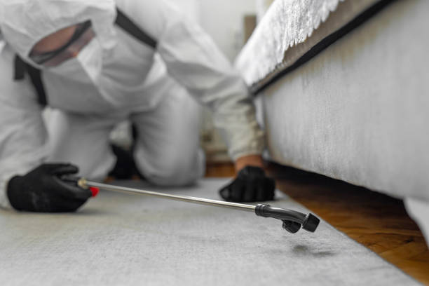 Professional Termite Control technician working in Holton, KS