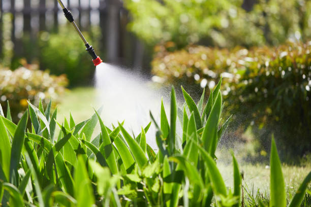 24/7 Emergency Termite Control experts in Holton, KS