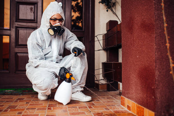 Reliable Termite Control contractor in Holton, KS by Nex Pest Control