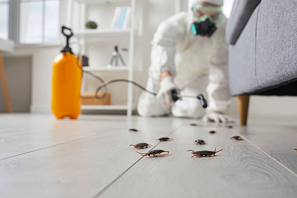 Trusted Termite Control service in Holton, KS - Nex Pest Control