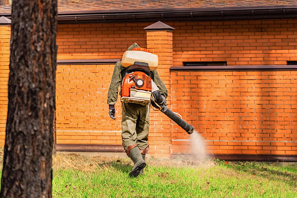 Trusted Ant Control service in Holton, KS - Nex Pest Control